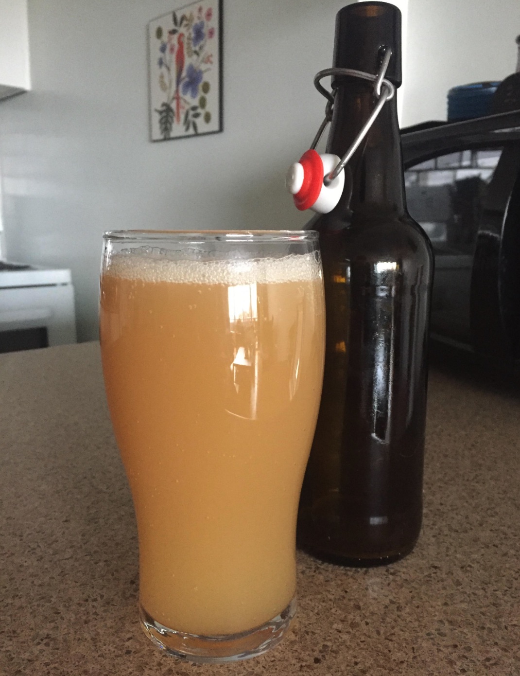 picture of a homebrew beer